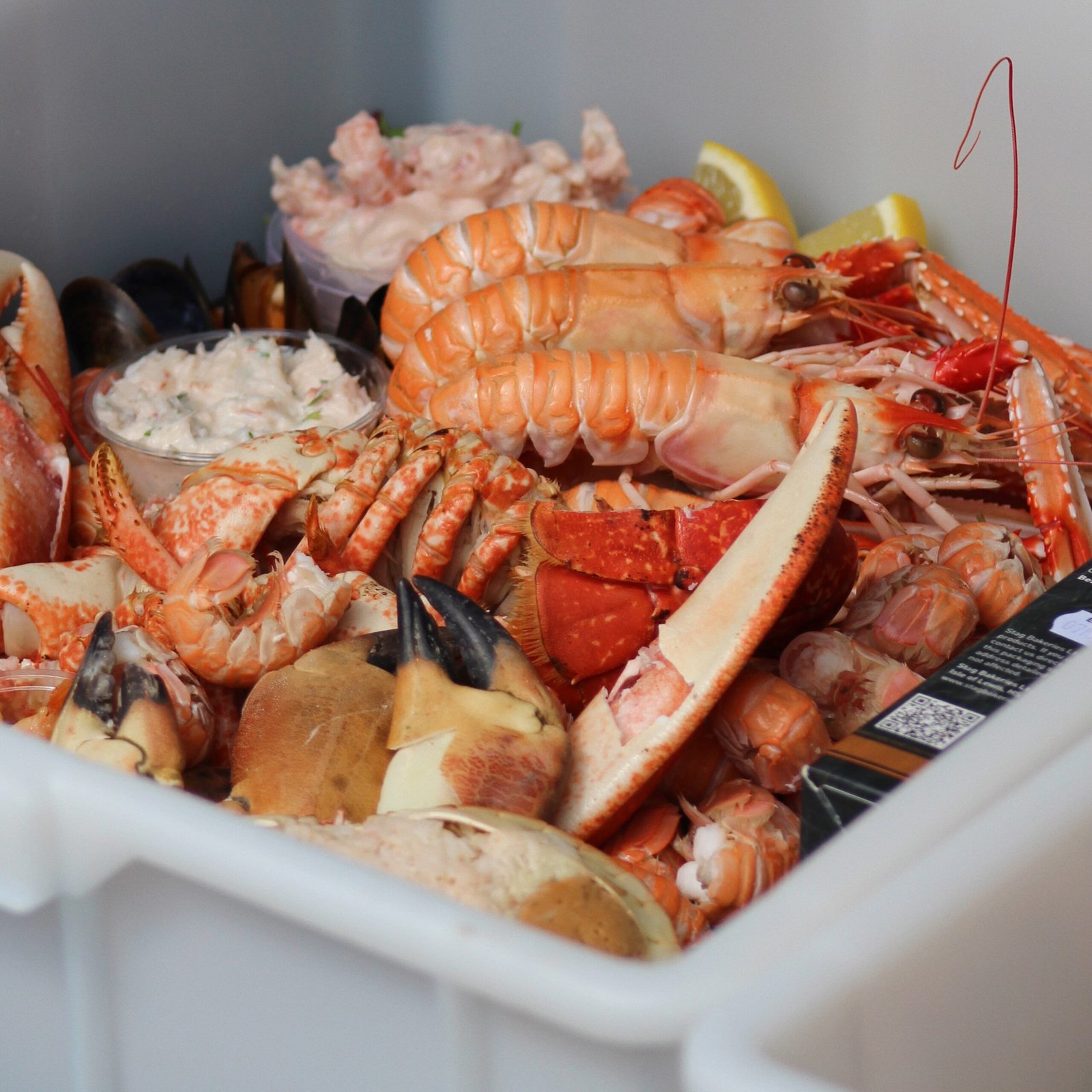 Fresh seafood/shellfish caught in the waters by the isle of Skye, served as a platter. ideal for sharing